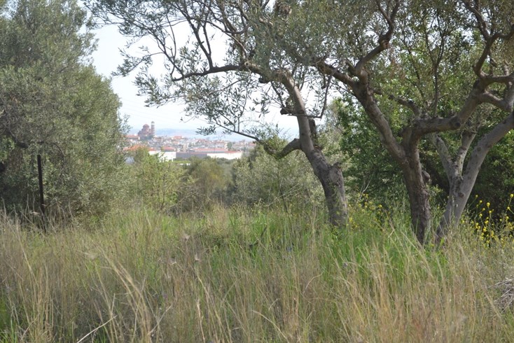 Realty photo 2