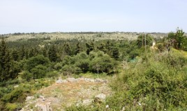 Terrain 854 m² en Crète