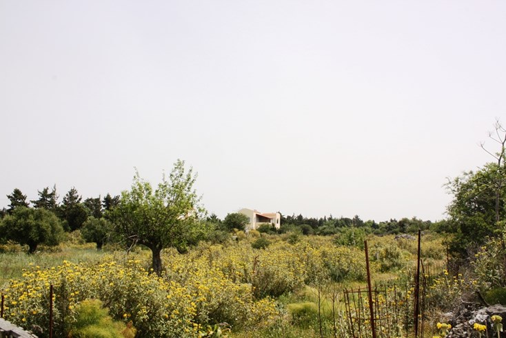 Realty photo 1