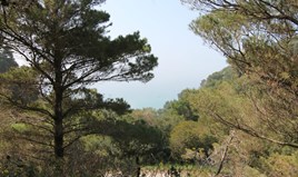 Land 5083 m² in Corfu