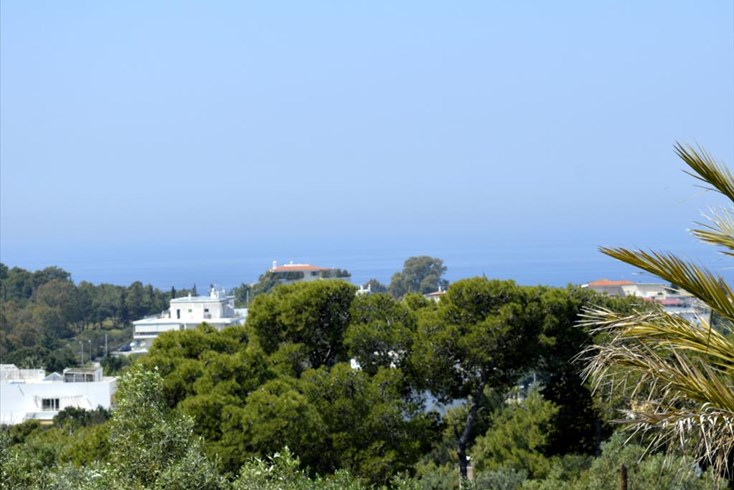 Realty photo 2