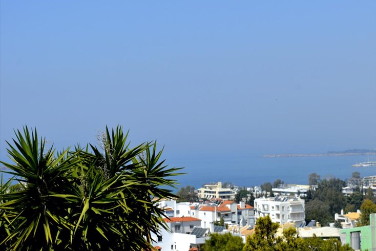 Realty photo 1