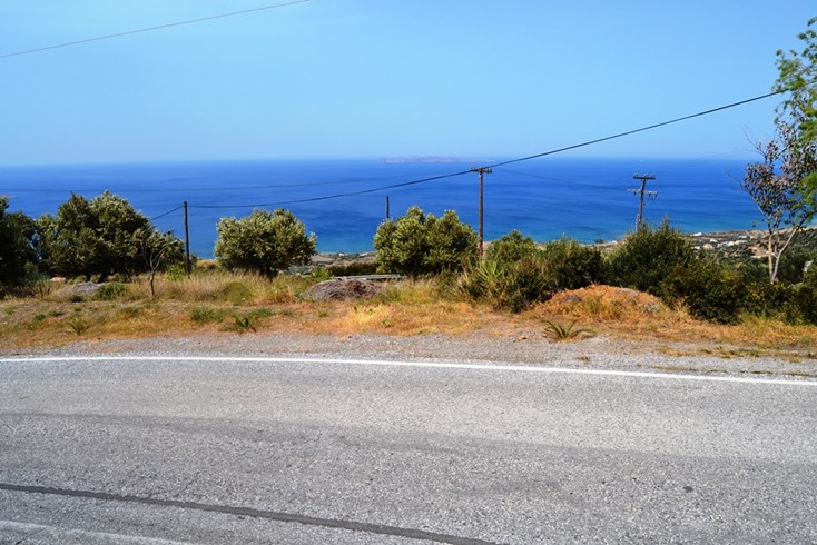 Realty photo 1