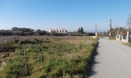 Земельна ділянка 2407 m² в Халкидіках