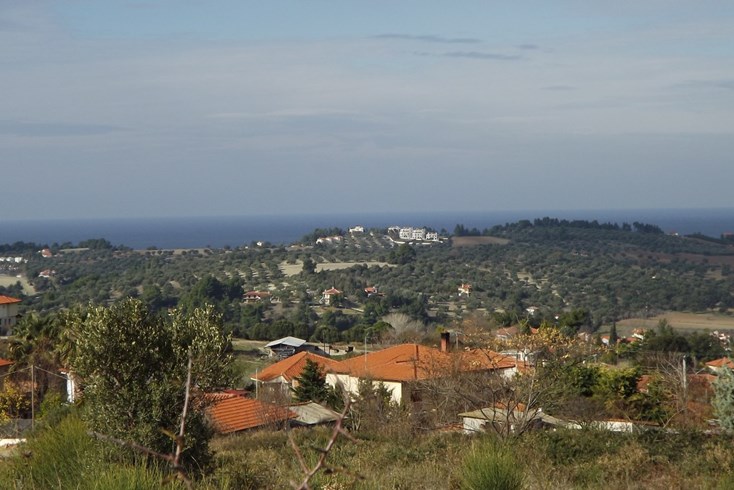 Realty photo 2