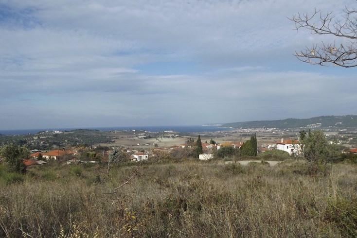 Realty photo 1