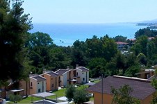 Property 3138 photo 1