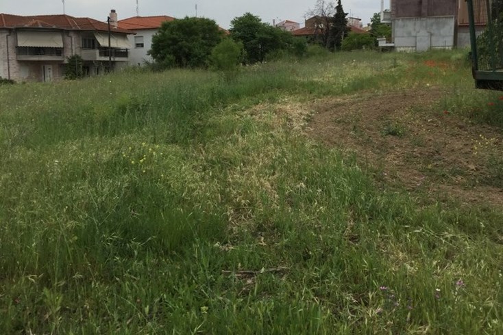 Realty photo 2