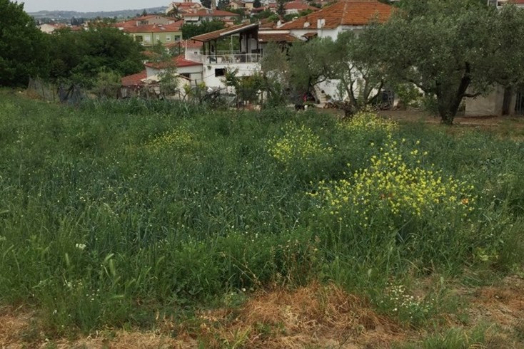 Realty photo 1