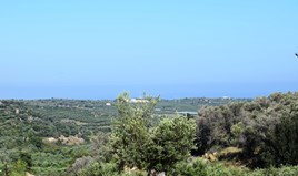 Terrain 5000 m² en Crète