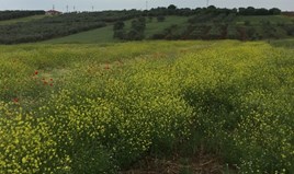 Парцел 6445 m² в област Солун