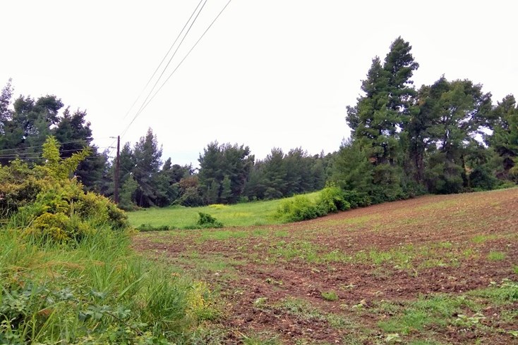 Realty photo 2