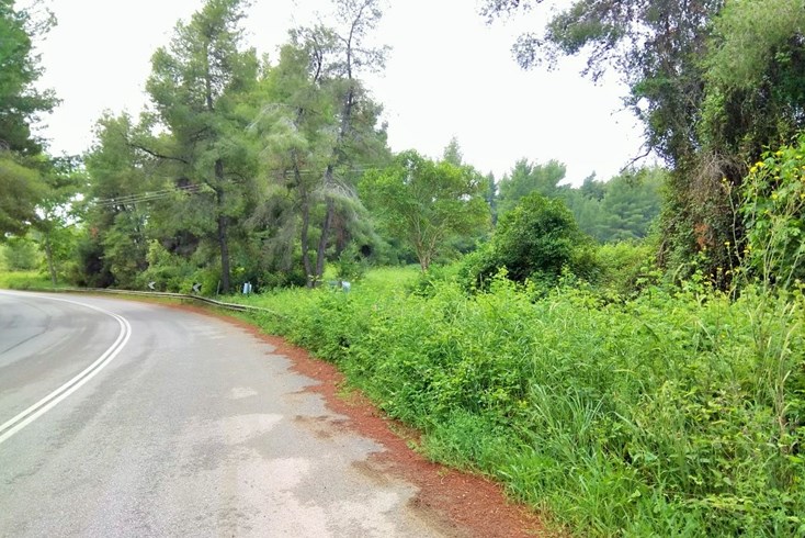 Realty photo 3
