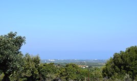 Zemljište 50000 m² na Kritu