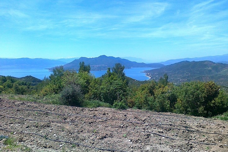 Realty photo 2