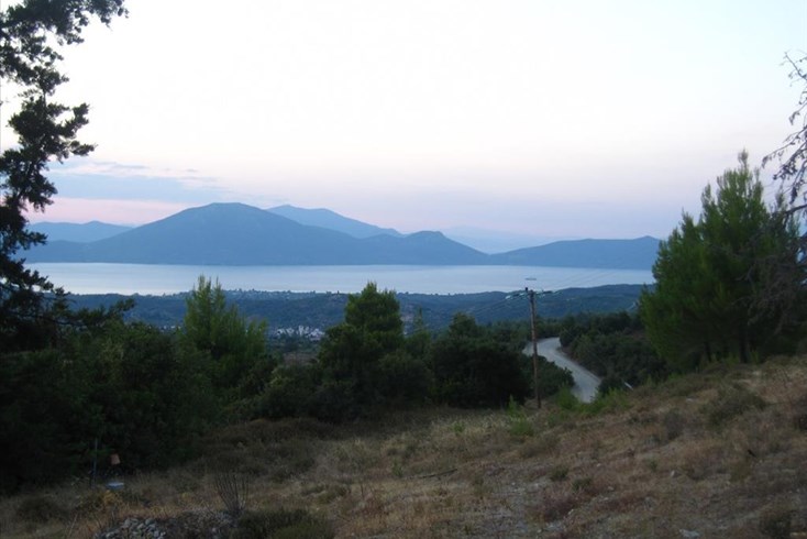 Realty photo 1