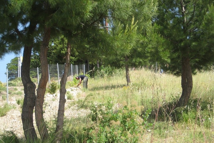 Realty photo 3