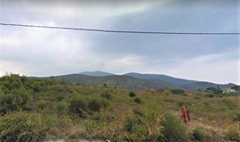 Land 10000 m² in Volos-Pilio