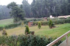 Property 3146 photo 5