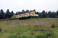 Property 3146 photo 4