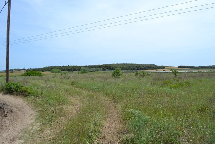 Realty photo 2