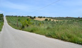 أرض 4600 m² في کاساندرا (هالكيديكي)