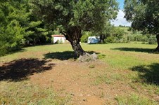 Property 31509 photo 4