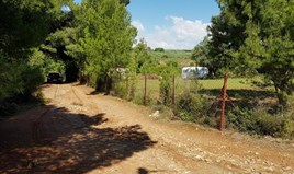 სასტუმრო 1540 m² სიტონიაზე ( ქალკიდიკი)