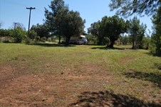 Property 31509 photo 3