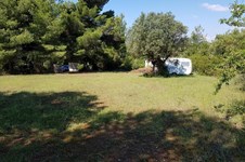 Property 31509 photo 5