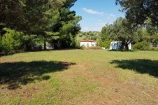 Property 31509 photo 6