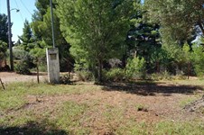 Property 31509 photo 7