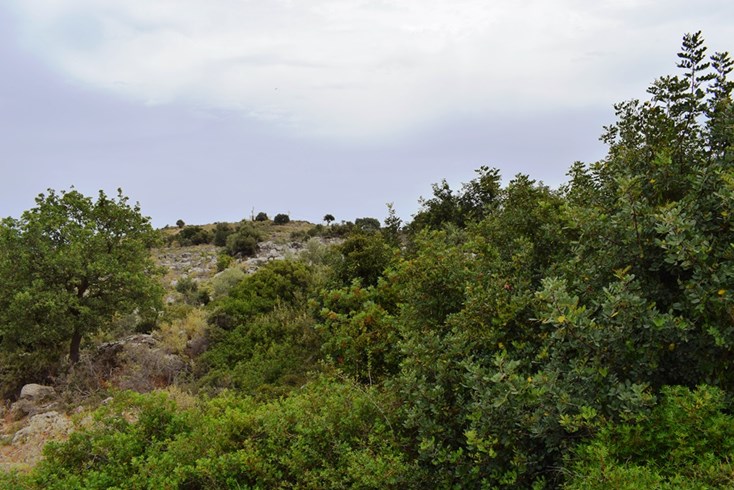 Realty photo 3
