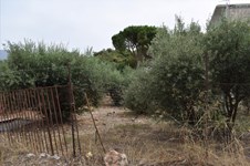 Property 31580 photo 3