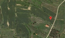 Zemljište 9800 m² na Atosu (Halkidiki)