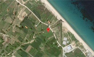 Arsa 6000 m² Athos’da (Chalkidiki)