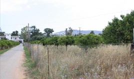 Land 6086 m² in Crete