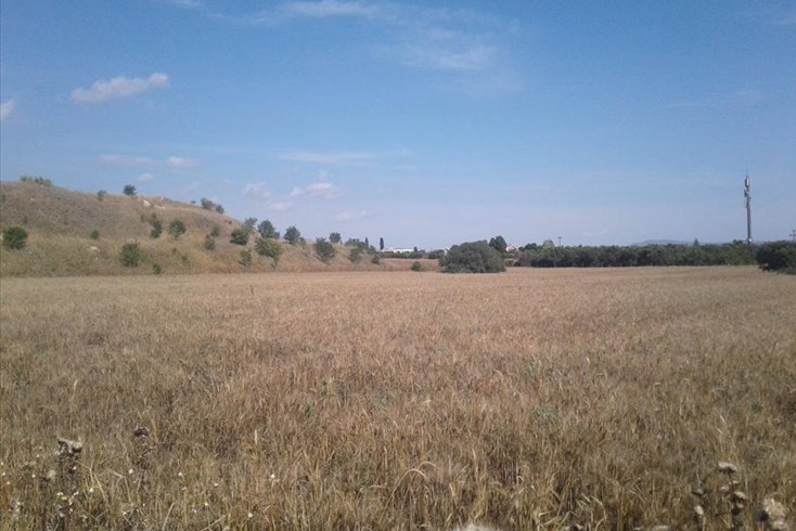 Realty photo 2