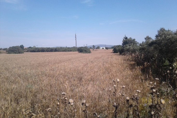 Realty photo 3