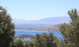 Land 10000 m² in Crete