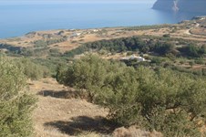 Property 31728 photo 5