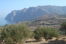 Property 31728 photo 6