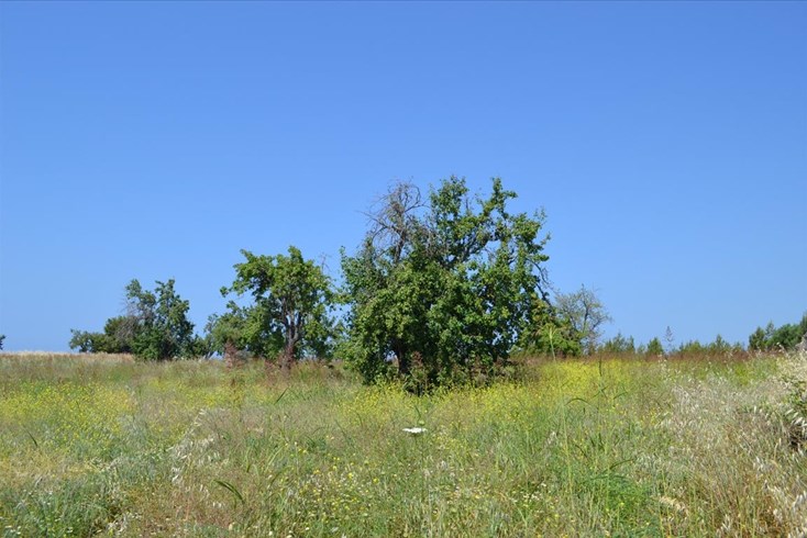 Realty photo 2
