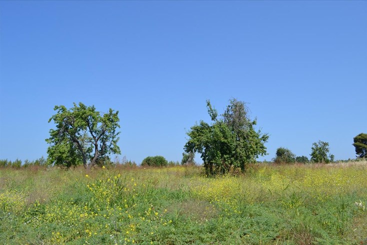 Realty photo 3