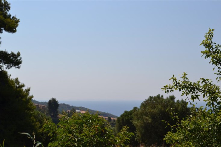 Realty photo 1