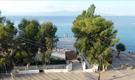 Wohnung 75 m² auf West Peloponese