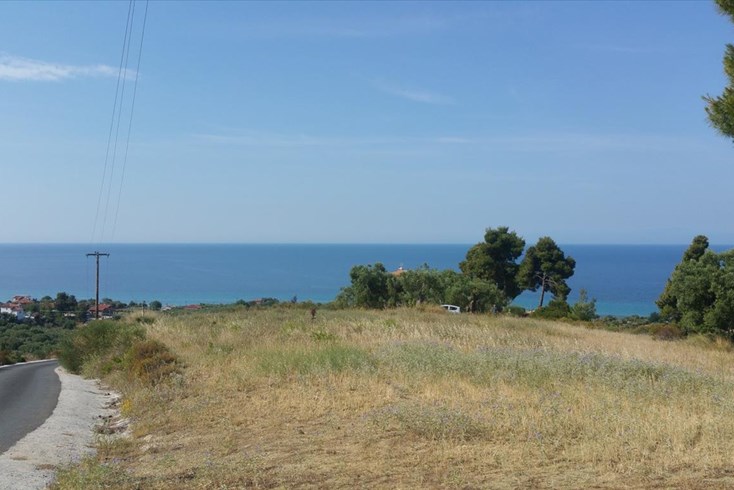 Realty photo 3