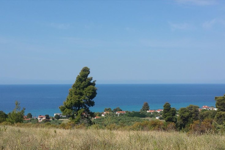 Realty photo 1