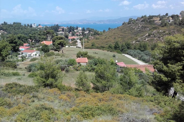 Realty photo 1