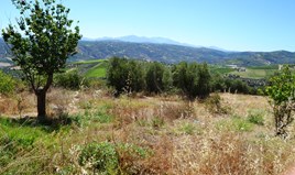 Land 986 m² in Crete